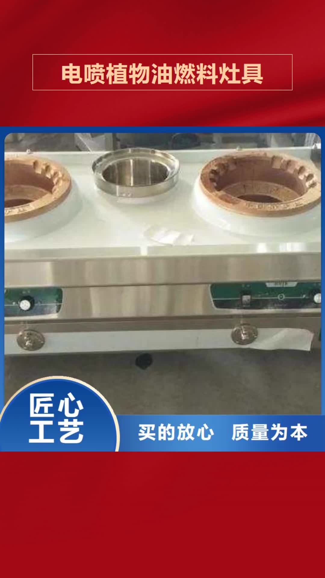 娄底 电喷植物油燃料灶具_【无醇燃料厂家】设计合理