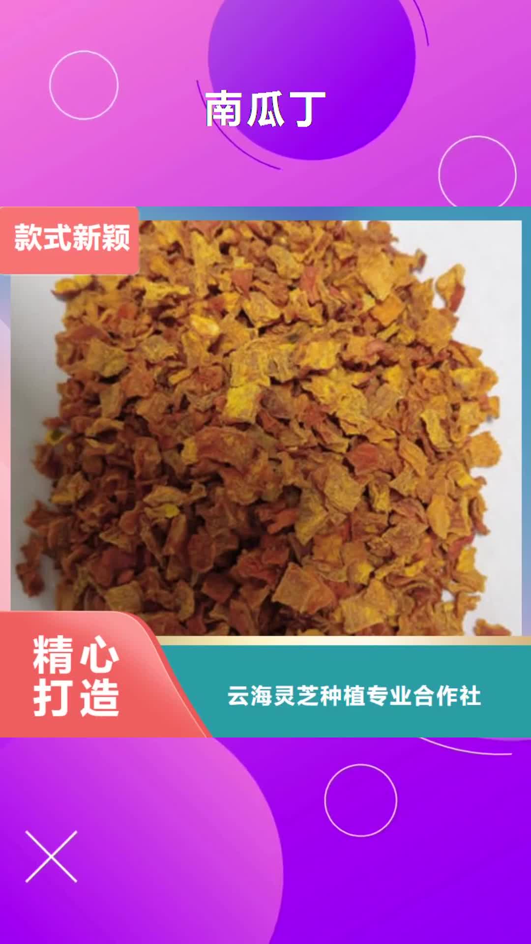 武汉 南瓜丁_【灵芝菌种】专业厂家