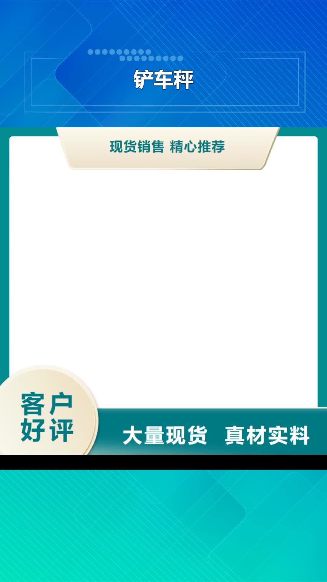 娄底 铲车秤-【电子地磅维修】实时报价