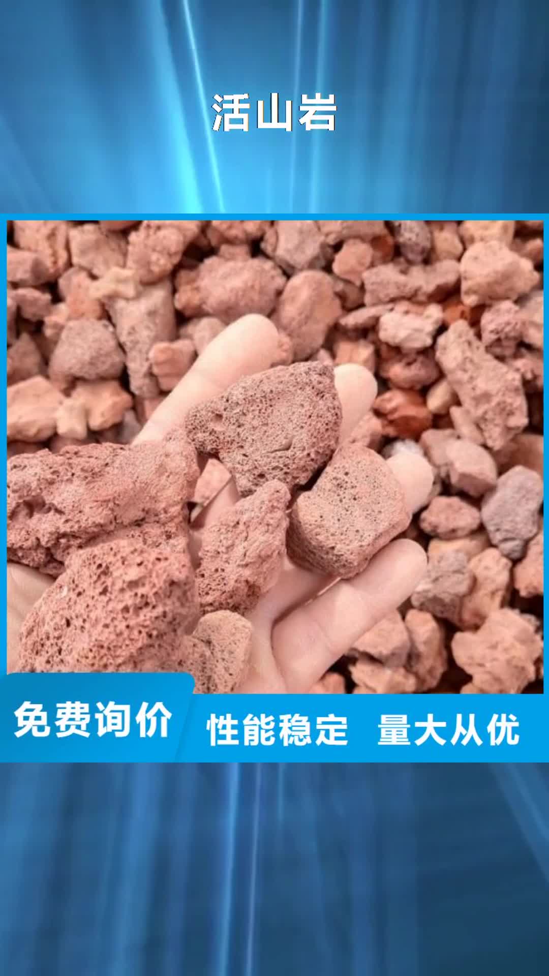 江门 活山岩,【煤质活性炭】支持定制