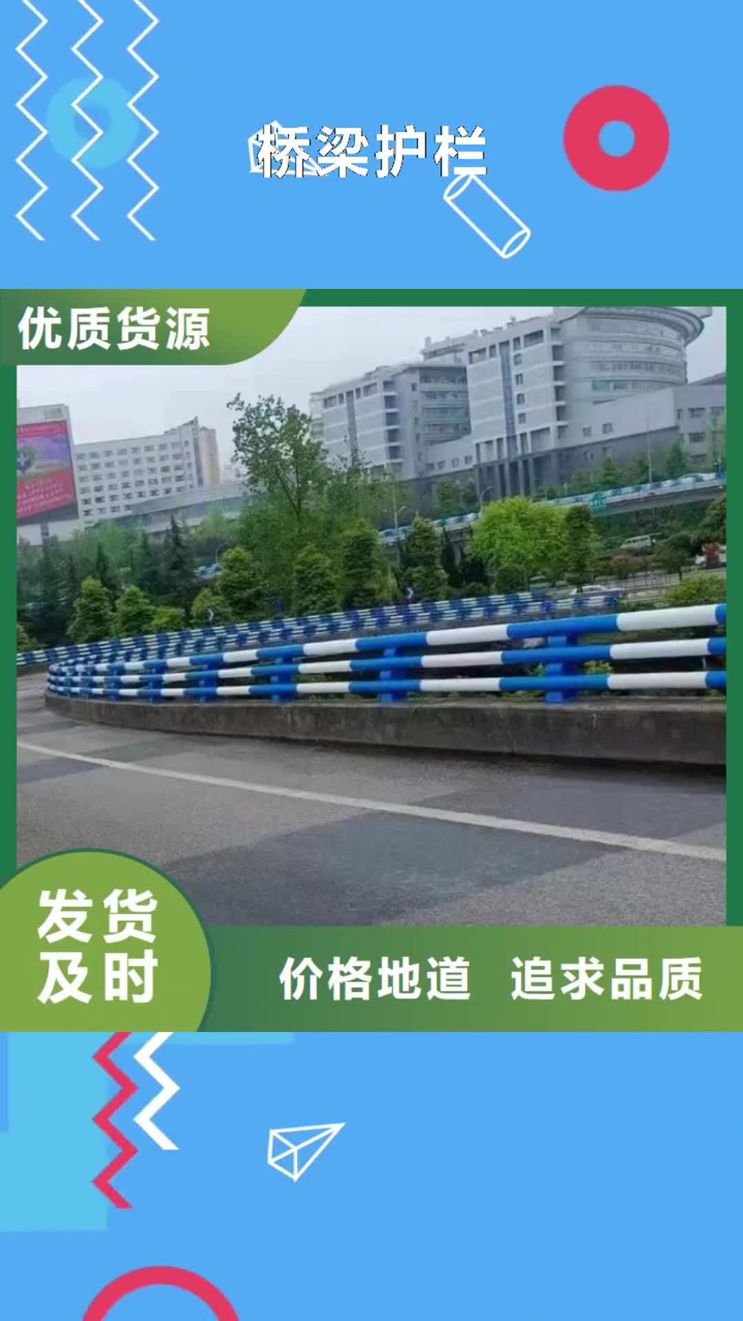 【宁波 桥梁护栏,河道护栏支持加工定制】