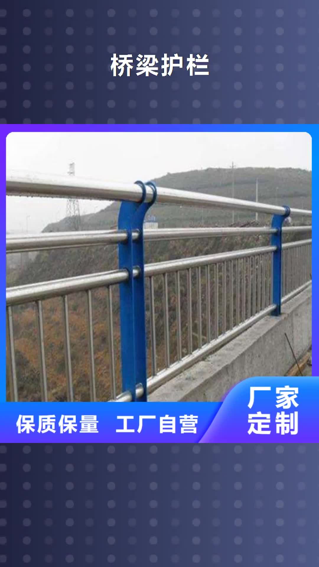威海 桥梁护栏 【行人隔离护栏】专注质量