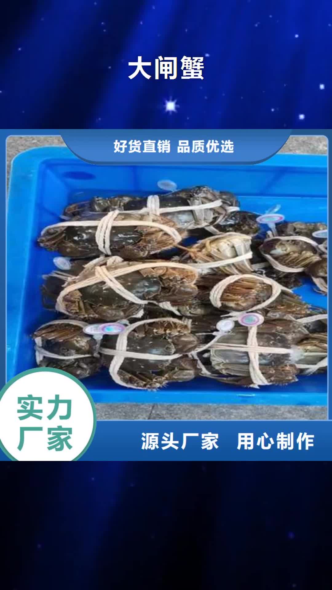 【邯郸 大闸蟹 卖阳澄湖大闸蟹地方工厂自营】