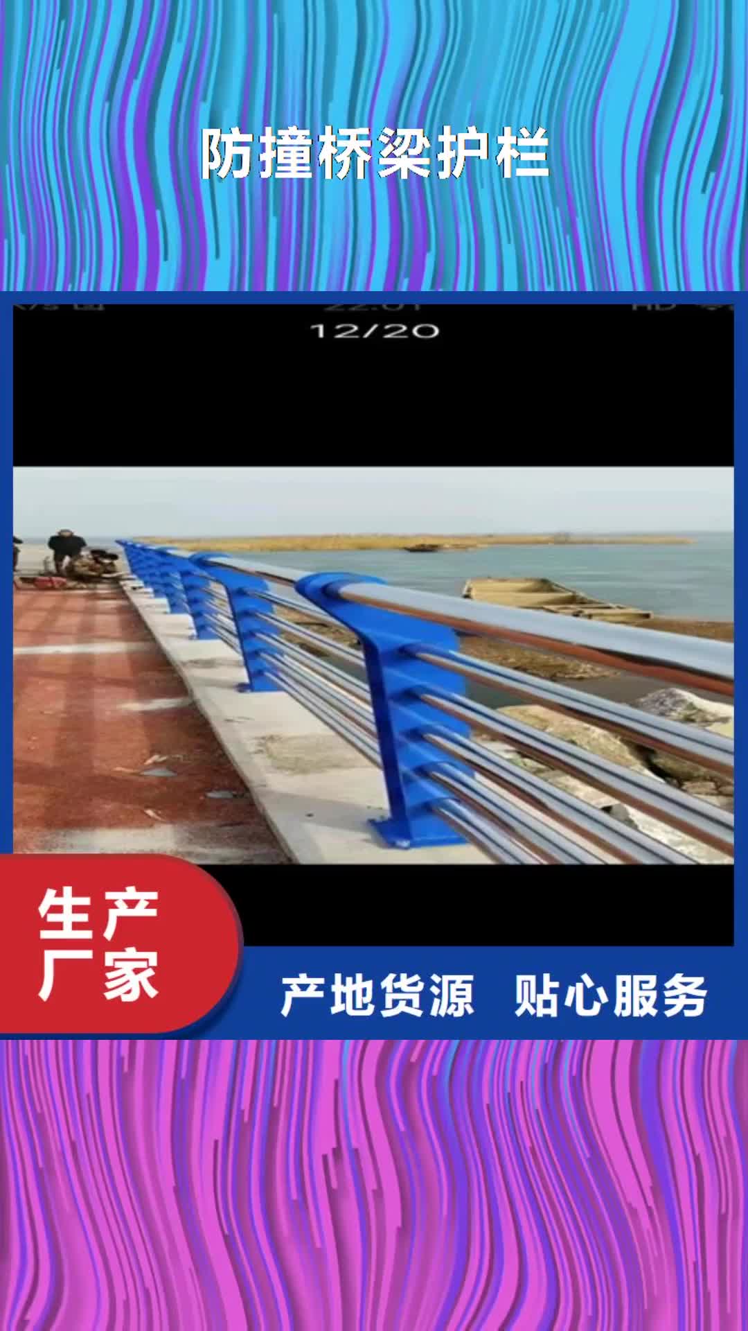 【珠海 防撞桥梁护栏-道路隔离护栏规格齐全实力厂家】