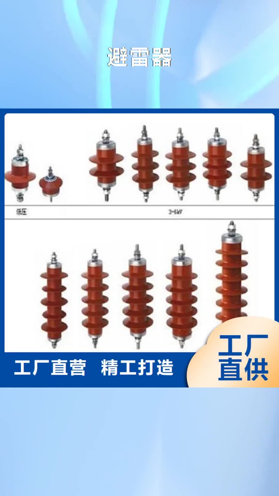 汕尾避雷器电力金具就近发货