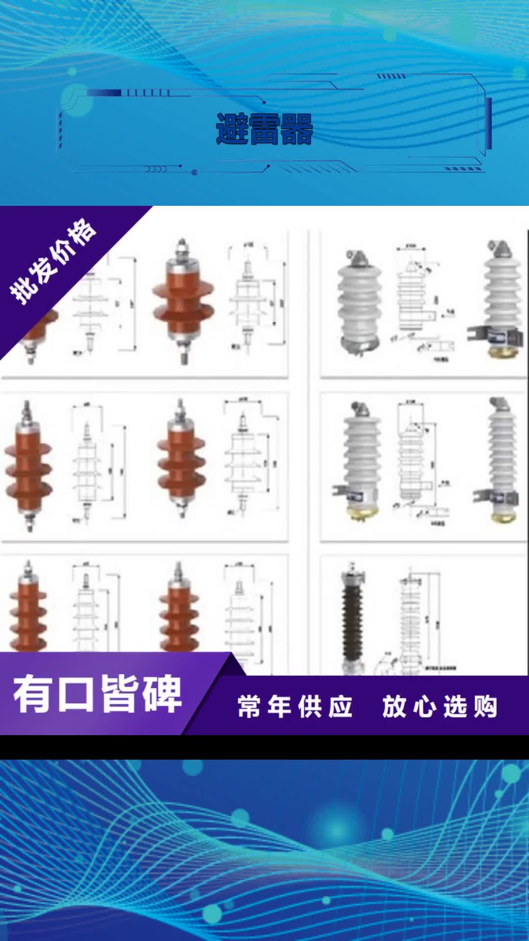 湘西避雷器跌落式熔断器厂家一对一为您服务