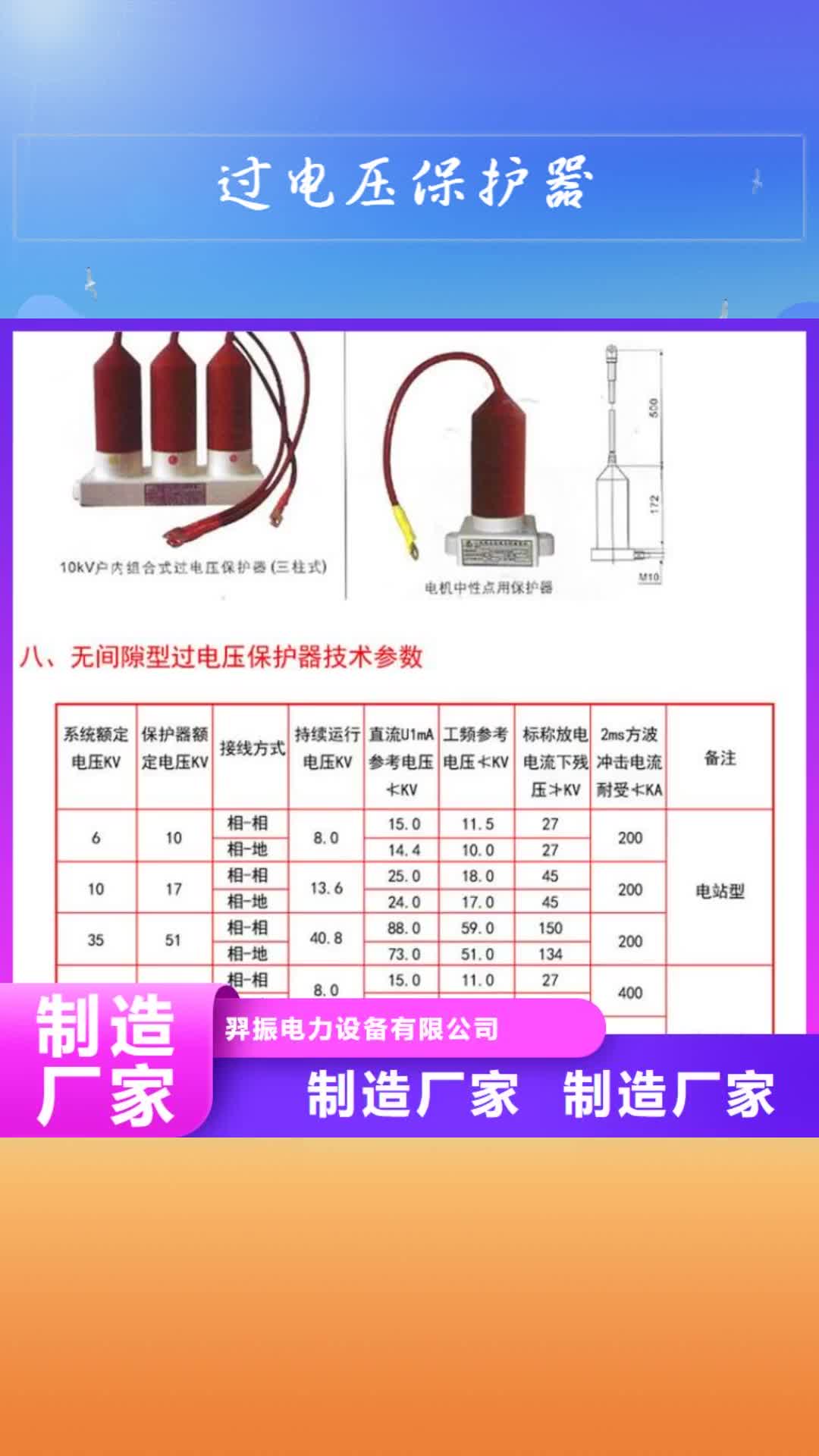 聊城 过电压保护器 【绝缘子厂家】好货直销