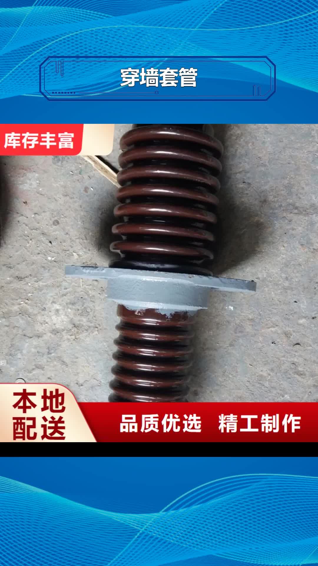 马鞍山穿墙套管断路器厂家品质之选