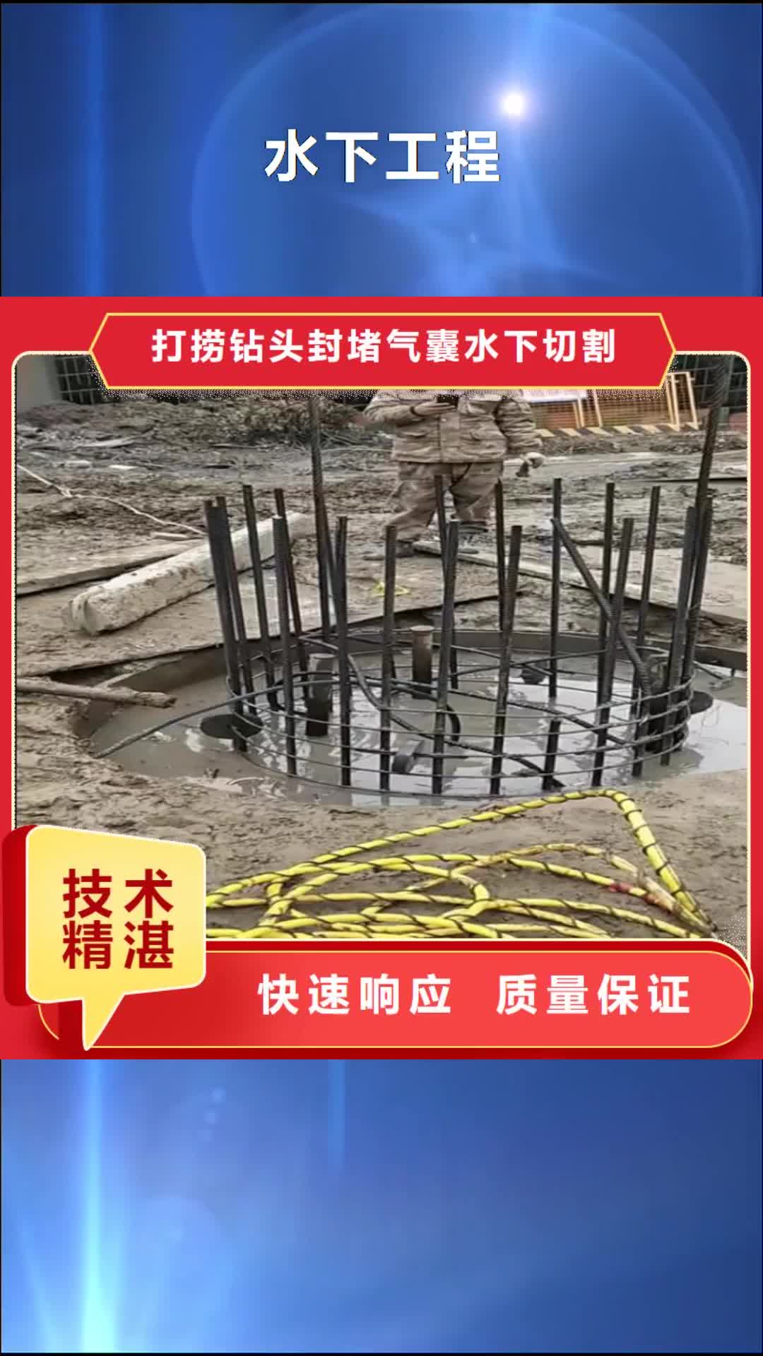 芜湖 水下工程 【水下管道拆墙】多家服务案例