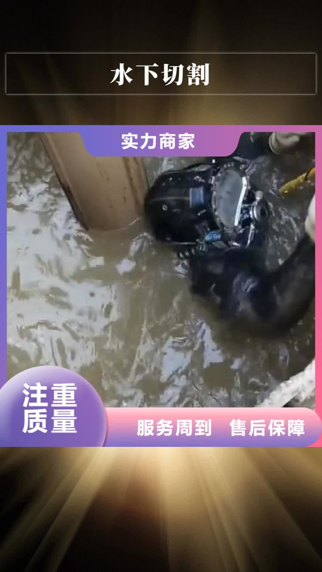 嘉兴 水下切割 【水下堵漏】快速响应