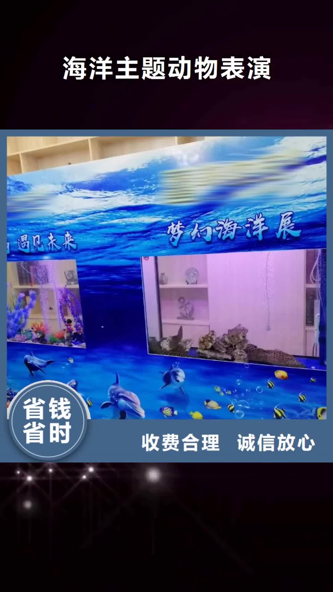 广安海洋主题动物表演-【羊驼出租】欢迎合作