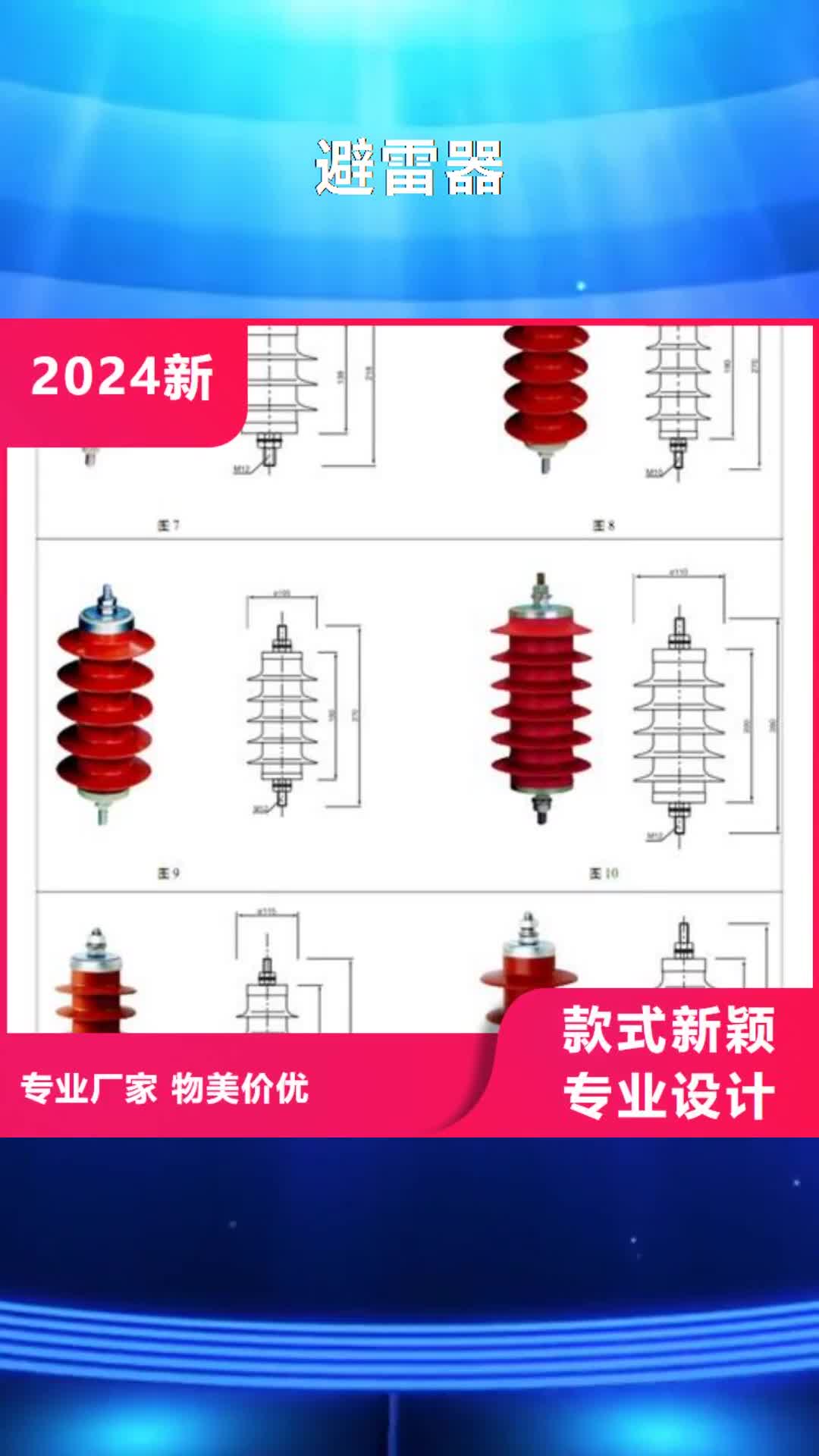 玉林避雷器绝缘子来图定制