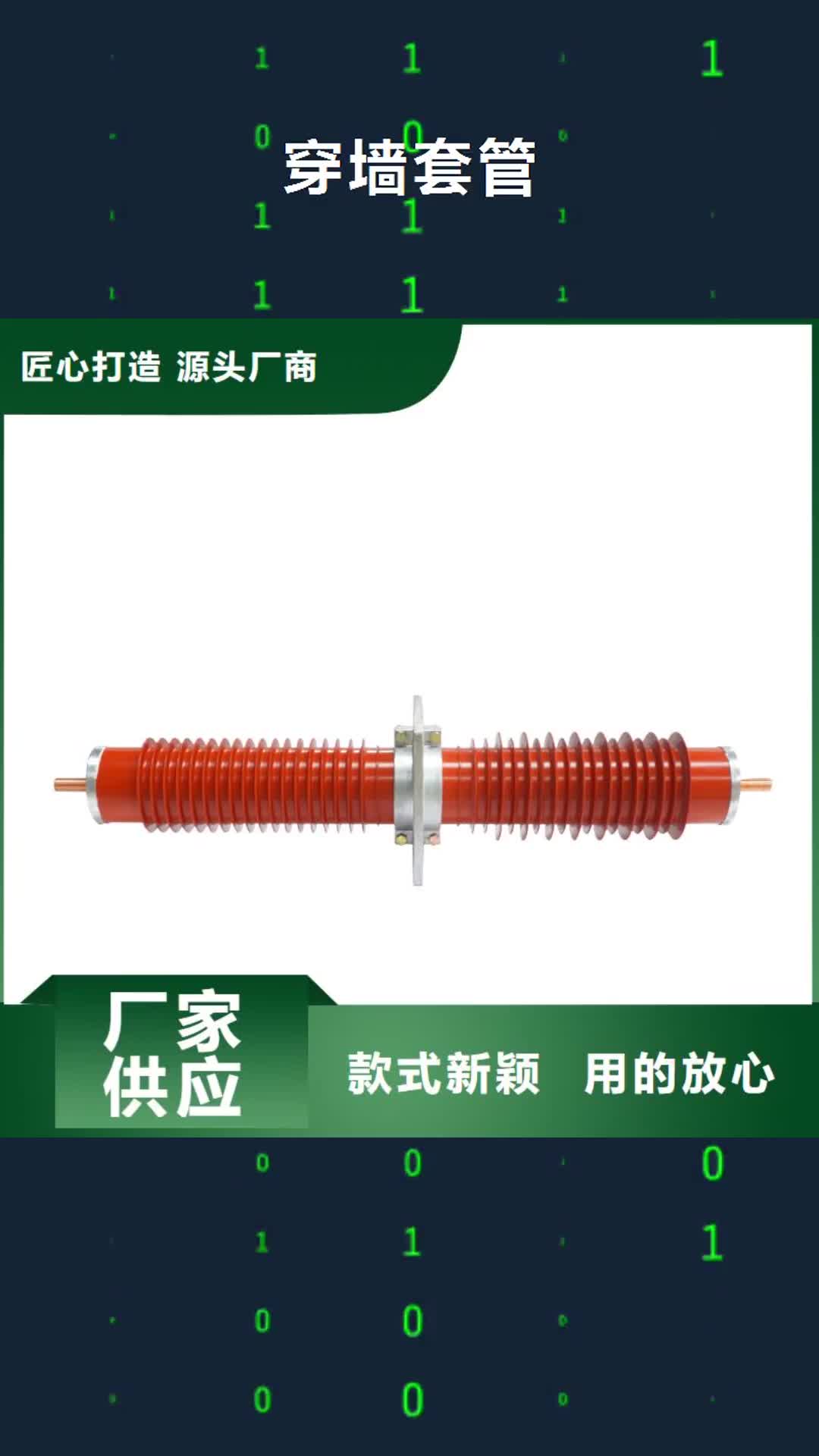 宜宾【穿墙套管】真空断路器产地批发