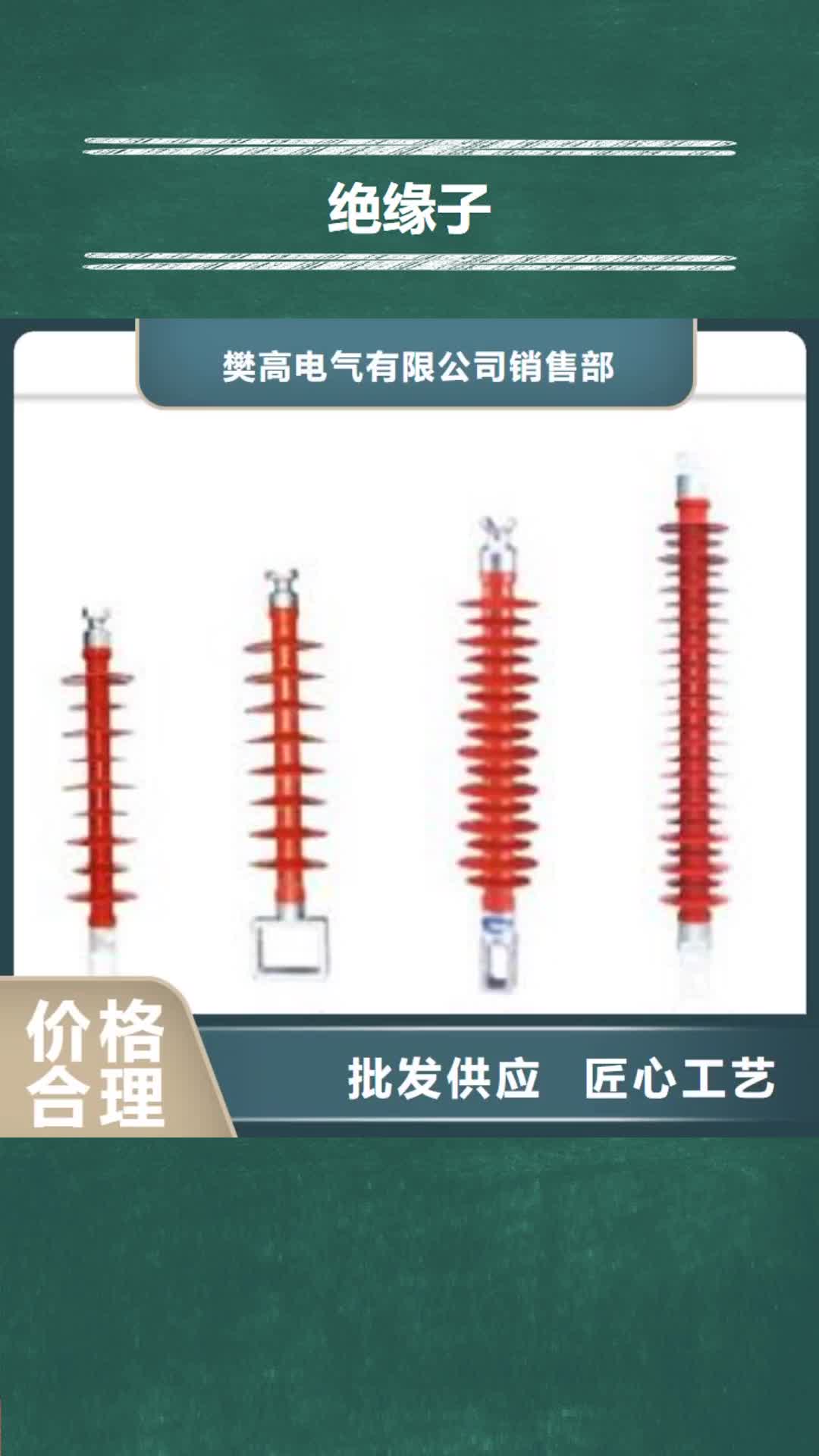 林芝绝缘子真空断路器可零售可批发