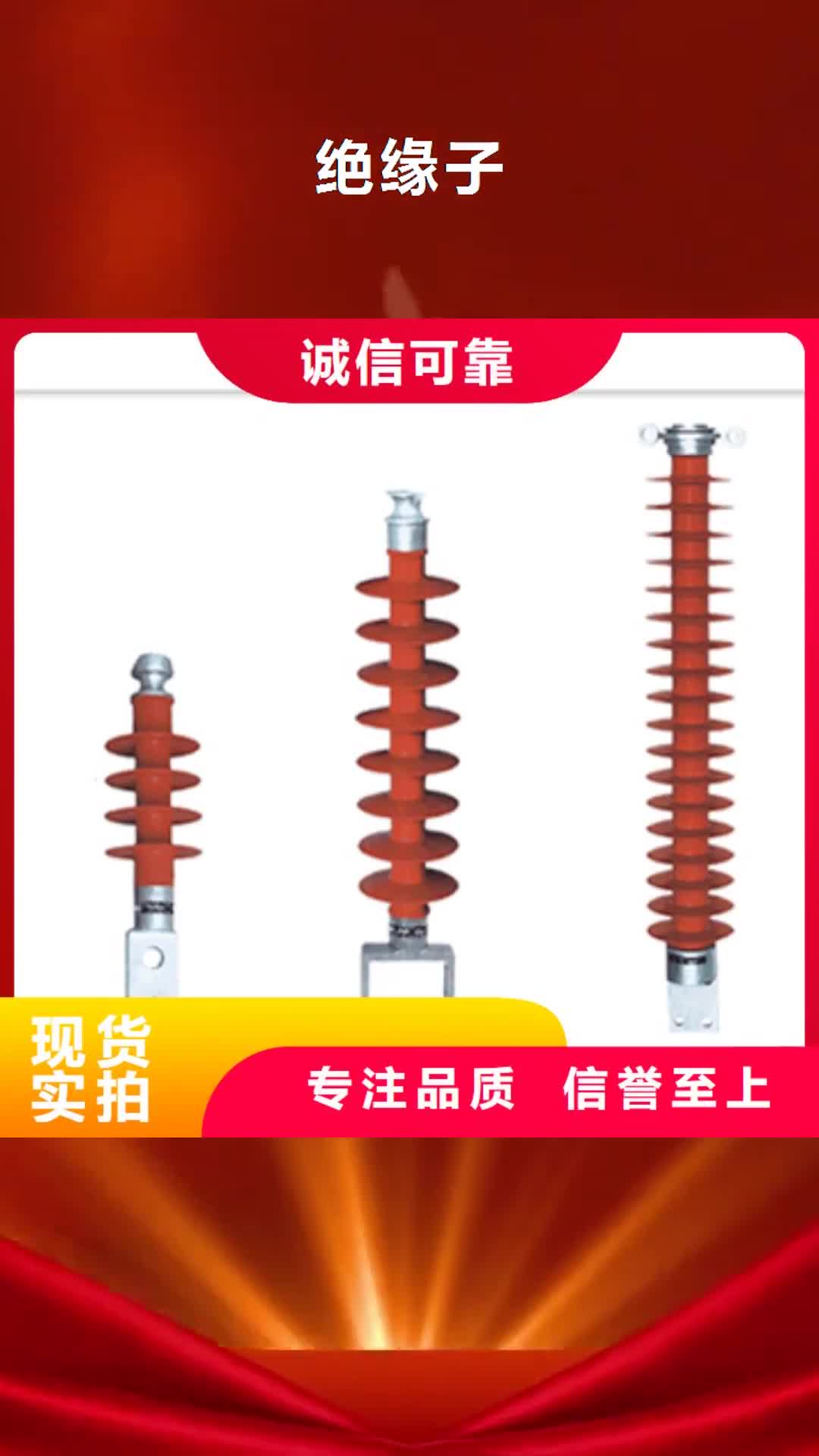 【保定绝缘子_氧化锌避雷器打造行业品质】