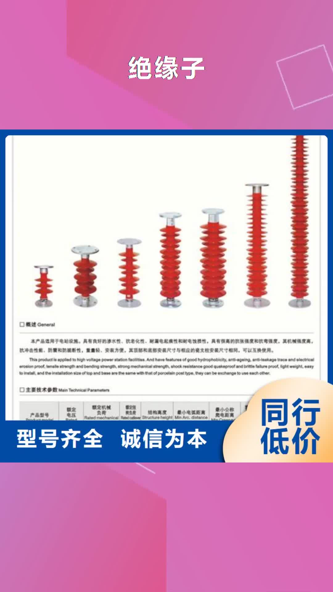 眉山绝缘子_【电缆附件】现货直供