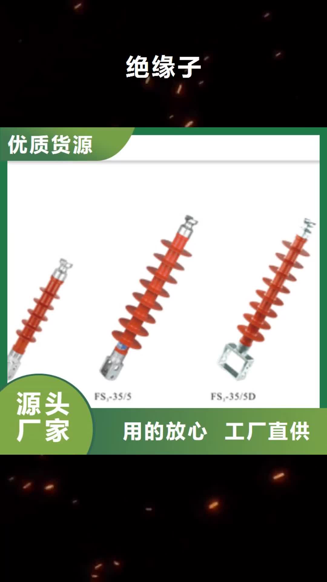 【临沂绝缘子,真空断路器安装简单】