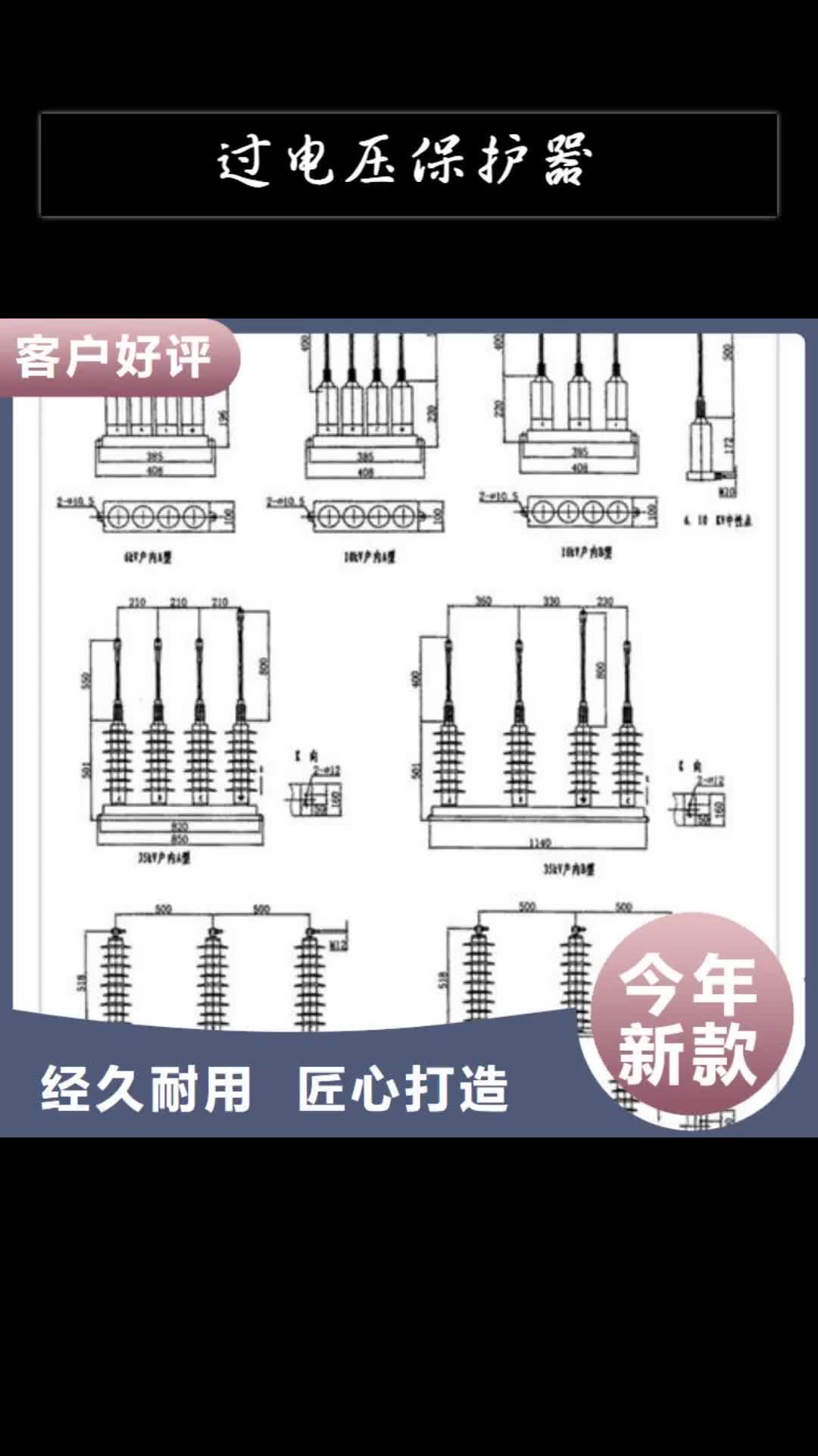 烟台过电压保护器绝缘子货源直供