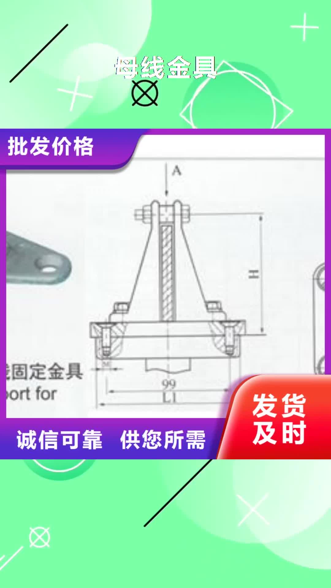 甘南 母线金具 【氧化锌避雷器】优质工艺